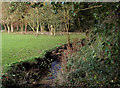 Cut Throat Brook in Broughton, Shropshire