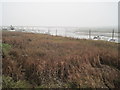 River Medway, Cuxton, Kent