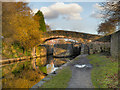 SJ9097 : Bridge and Lock, Fairfield by David Dixon