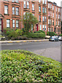 Tenement housing in Buccleuch Street