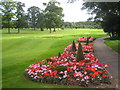 Flowerbeds at Sprowston Manor Golf Club