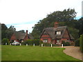 Thatched houses on The Green at Woodbastwick