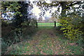 Gate on to Uphoe Manor pasture