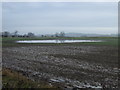 NZ3216 : Waterlogged farmland, Great Burdon by JThomas