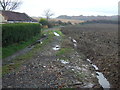 Track towards Square Wood