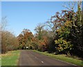 Whittlesford Road in autumn