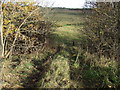 Field entrance off the A689