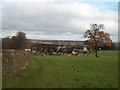 Footpath Overlooking Stubbing Court Home Farm