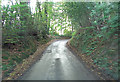 Bedham Lane north of Springs Farm