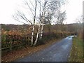 Track and Footpath off Nethermoor Road