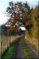 Track in valley bottom near Furzedown