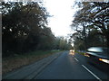 Christ Church Road by Epsom Common