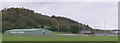 Carmarthen Athletics