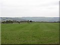 Pasture, Craig-y-dduallt