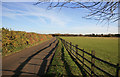 Looking towards Firbeck