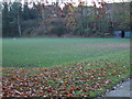 Playing fields, Durham School