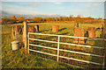 Seven standing stones