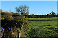 2012 : Pasture opposite the Chew Magna reservoir