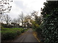 A path leading to Hull City Centre