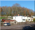 Sunny southern Alvington in mid-November