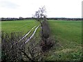 Tracks along a field, Cooley