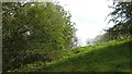 Steep slope above the towpath