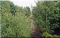 Alyth Junction station site/remains, 1997