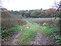 Track to The Gorse near South Creake