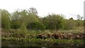 Forth and Clyde Canal