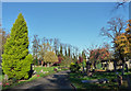 Path, West Norwood Cemetery (7)