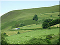 Hillside in Cwm Brefi, Ceredigion