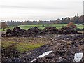 Steaming manure heaps off Nuthurst Road