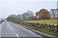 Unclassified road near Tulloes