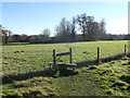 Footpath to Little Iridge Farm