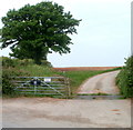 Access lane to Upper Llantrothy Farm