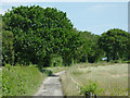 Farm road on Llangybi Common, Ceredigion