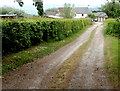 Treberran Farm NE of Raglan