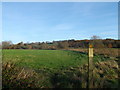 Footpath to Junction Road