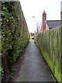 A straight-edged footpath, Barwick in Elmet