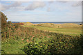 Birling Links sea in the distance