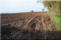 Ploughed field near Marston Stannett