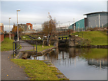 SJ8698 : Ashton Canal, Eastlands by David Dixon