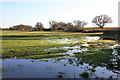 Wetland near Moor Beck