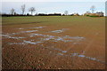 Wet arable field