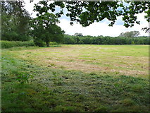 SP1158 : Recently Mown  Hay Field by Nigel Mykura