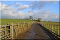 Track to Windsover Farm, Middleton