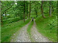 Approaching the lochside from Fin Glen