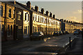 The late afternoon sun catches a terrace at Algernon Street