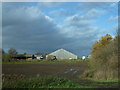TL2289 : Near Tower Farm on Holme Fen/Whittlesey Mere by Richard Humphrey