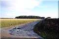 Farm track near Yarnett House Farm